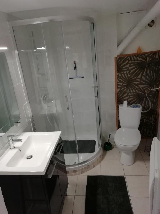 Appartement Location saisonniere à Cozes Extérieur photo