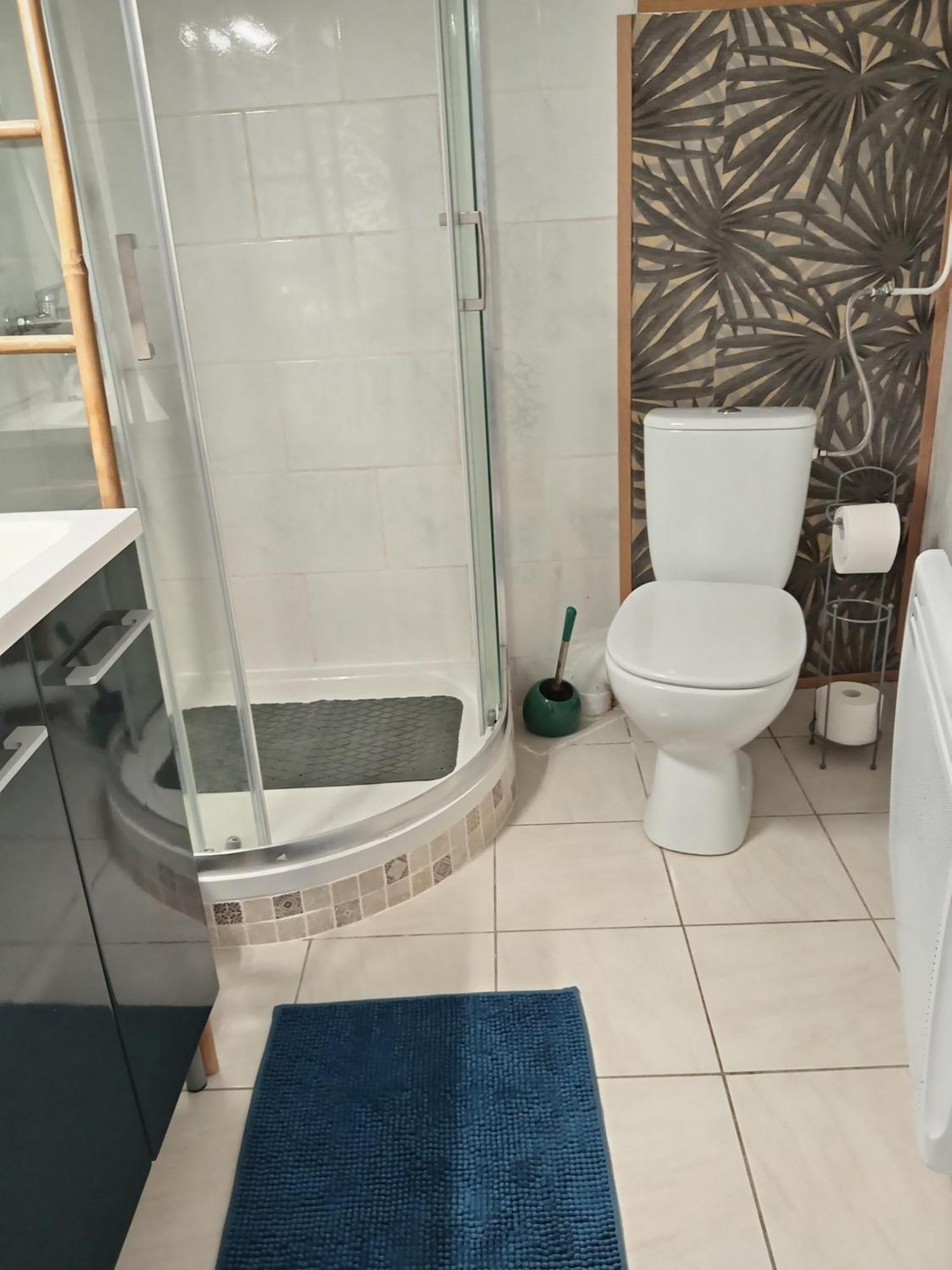 Appartement Location saisonniere à Cozes Extérieur photo